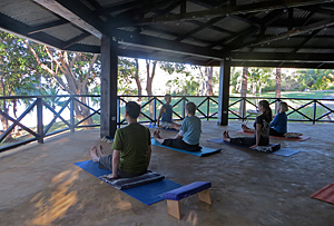 Ananda Yoga Postures in the yoga hall