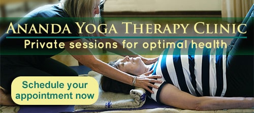 Yoga Therapy Clinic - Make an appointment button