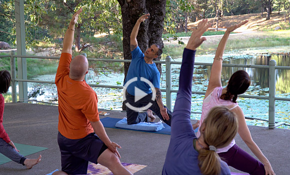 Yoga Teacher Training Video