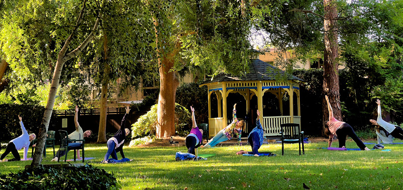 Yoga on Community Green