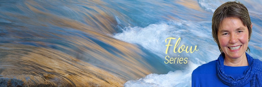 Life Transitions: What's My Next Step?