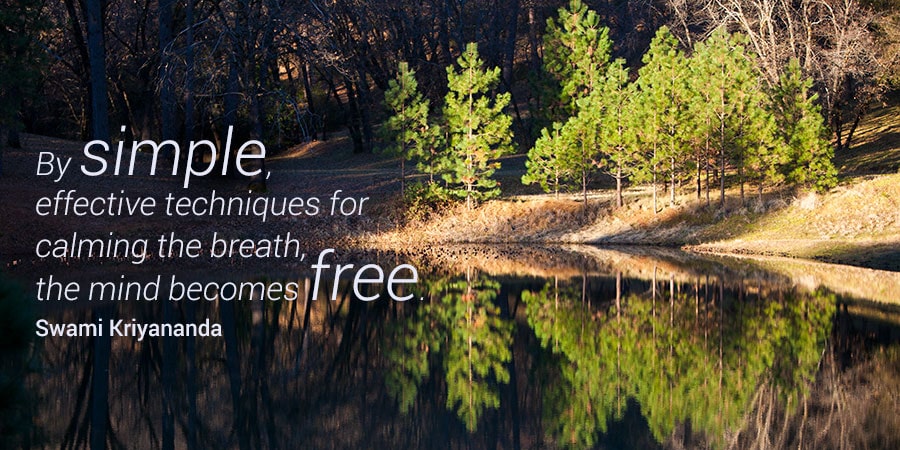 Meditation Retreats & Meditation Training in Northern California