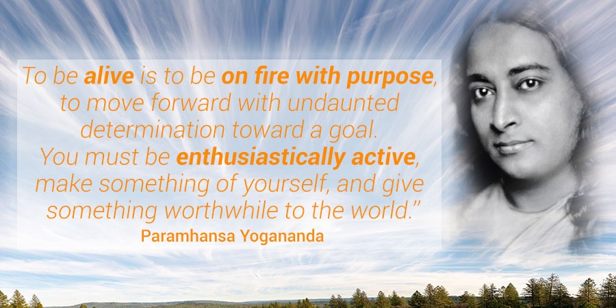 Certificate Training at the Ananda School of Yoga and Meditation
