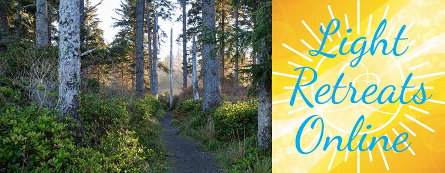 Forest Bathing - 
