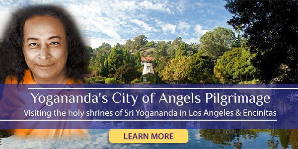 Learn More Yogananda Pilgrimage