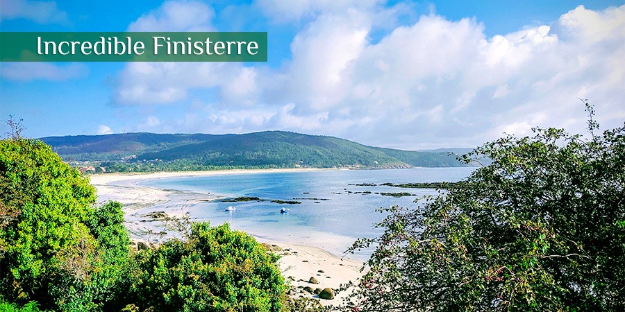Incredible-Finestera