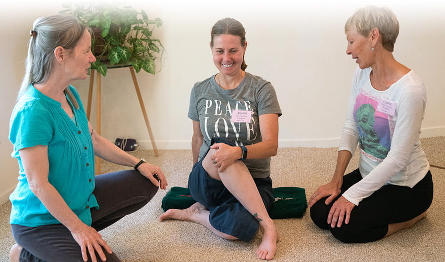 Ananda Yoga Therapy Training