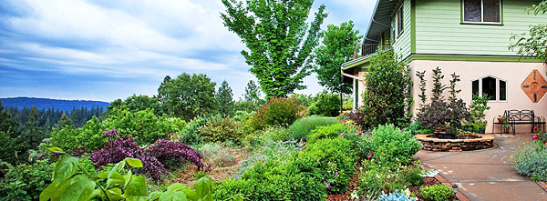 Gaia-house-retreat side-view-to-the-distance