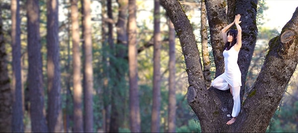 Ananda Yoga in Nature with Vahinin OM in a tree at The Expanding Light Retreat