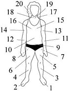 20-Part Body Recharging 20-Part Body Recharging