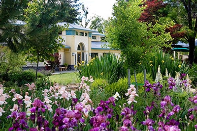 The Expanding Light -Guest Services Building with Spring flowers