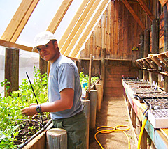 Timothy-in-greenhouse