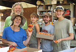 Ananda Organic Farm Apprentices