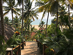 leading to the beach in Kerala, India
