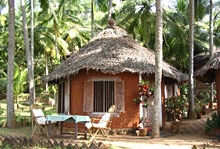 Special Cottage with view