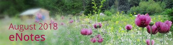 The Expanding Light Retreat, Northern California 