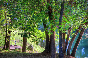 Meditator at Lotus Lake- The Expanding Light Retreat