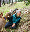 virani with goats