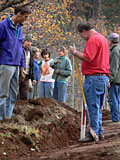 Working at the Permaculture Workshop