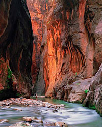 waterfall at Zion National Park