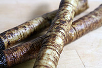 Burdock Root