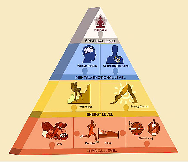 Ananda Radiant Health Training Pyramid