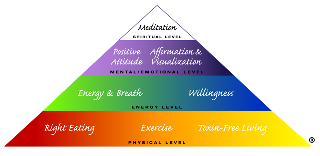 Holistic Health Pyramid