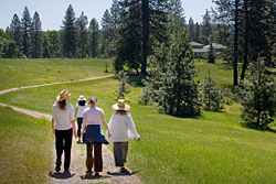 Proper Breathing with a Brisk Walk