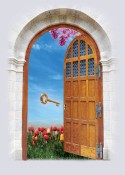 AKASH door