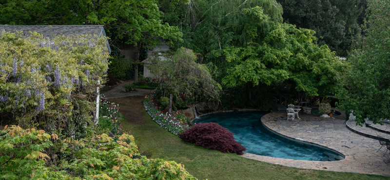 view-of-hermitage-pool