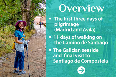 Camino Overview
