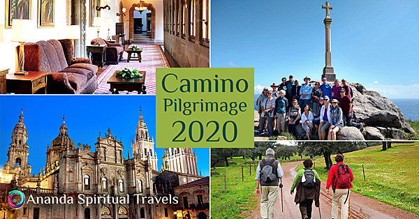 Camino 4-up-montage