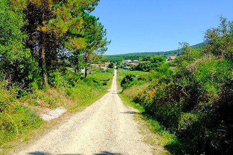 Ananda Spiritual Travels-Camino Pilgrimage-Image of grassy lane