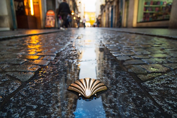 Camino shell-Spain