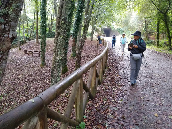 Dora on Camino walking - in Spain
