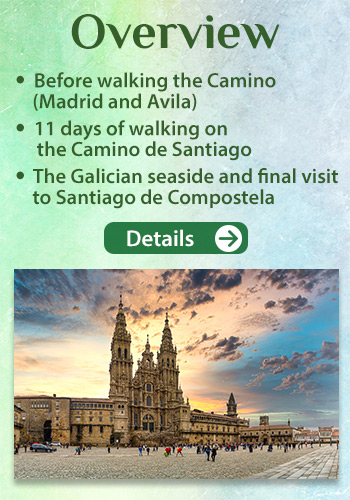 Camino de Santiago Pilgrimage Overview