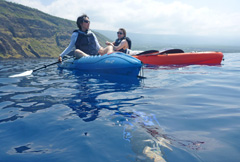Mantradevi kayaking in Hawaii