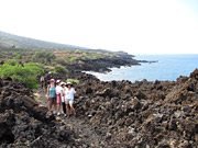 Hikers on the trail