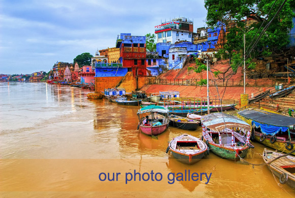 Click here for photo gallery