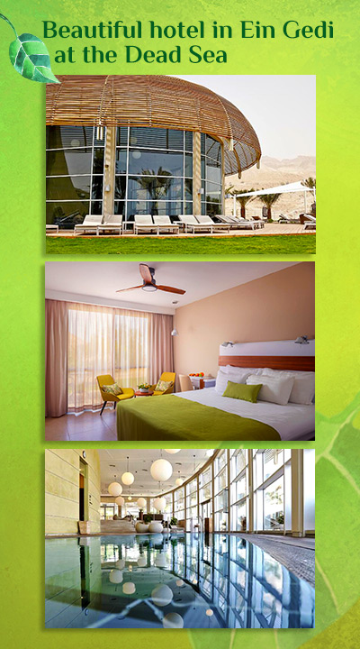 Beautiful hotel in Ein Gedi at the Dead Sea