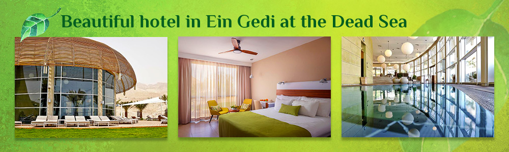 Beautiful hotel in Ein Gedi at the Dead Sea