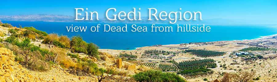 Ein-Gedi-Region-section-header