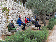 Meditation in the Garden of Gethsemane