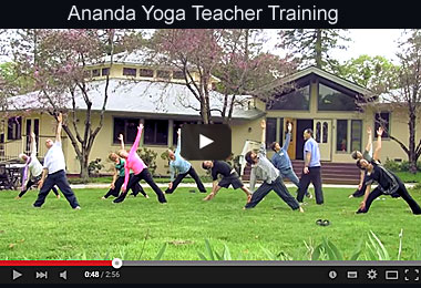 Yoga Teacher Training Video