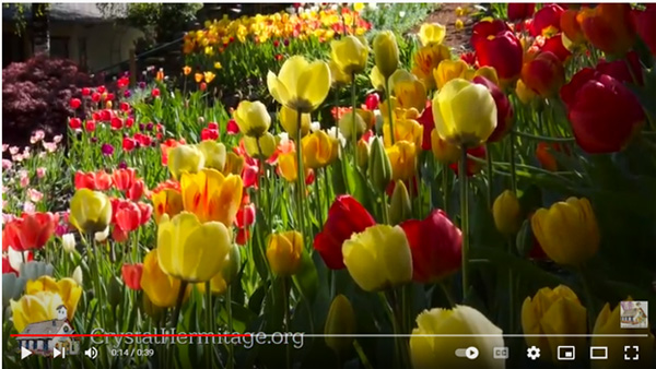 springtime-at Ananda video