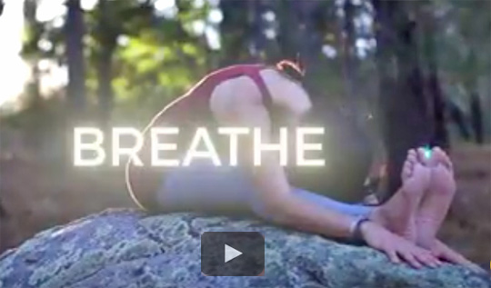 Yoga in Nature with Vahini-Om Video