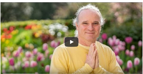 karma yoga ashram video