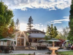 Retreats in the U.S., Italy, and India