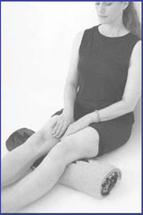 Isometric Strengthening of the Vastus Medialis